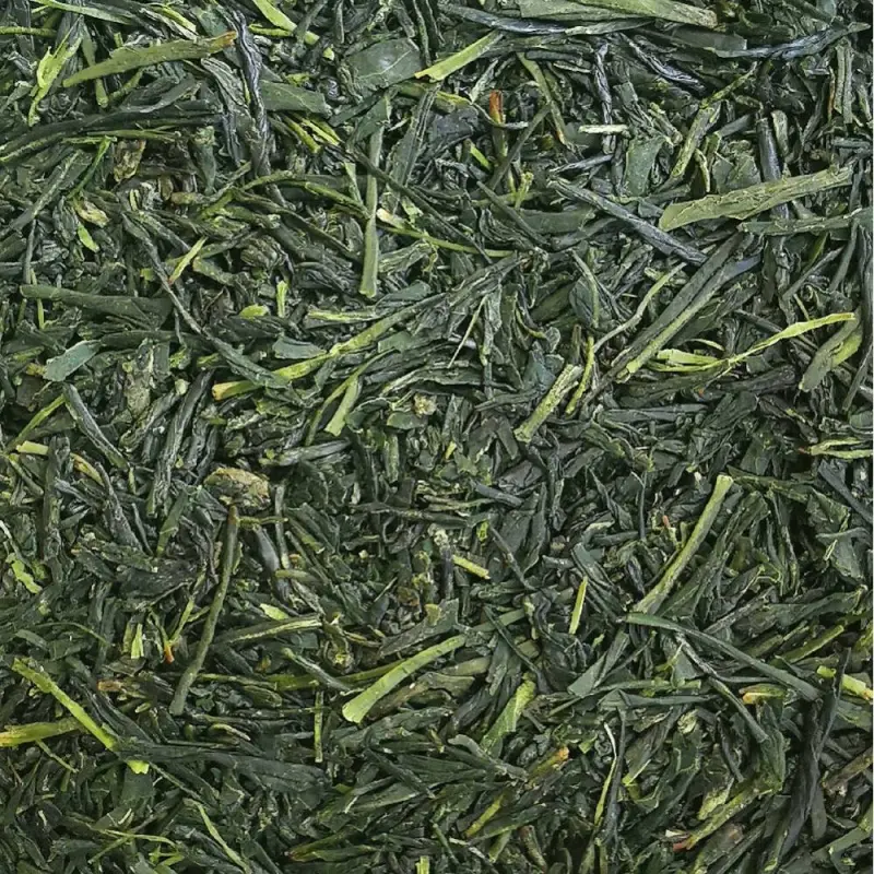 Sencha n°2 - BIO 2023, Saemidori, Myasaki , Japan