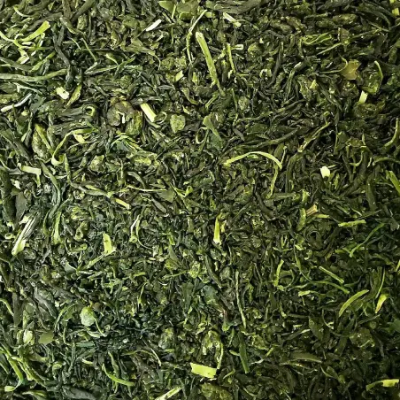 Sizen-Cha Natural 2019, Yabukita, Ureshino, Japan