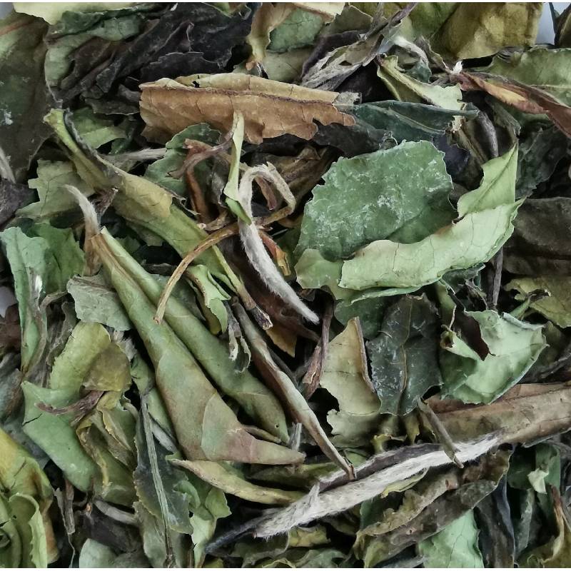 Organic White Peony - Bai Mu Dan