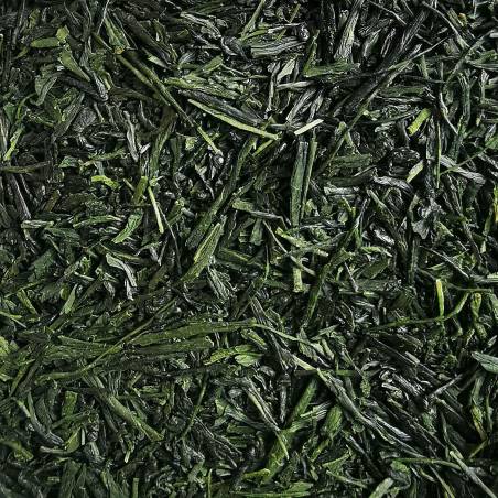 Gyokuro n°3 - BIO 2025,...