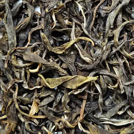 Jingmai Pu-ehr Sauvage - Sheng